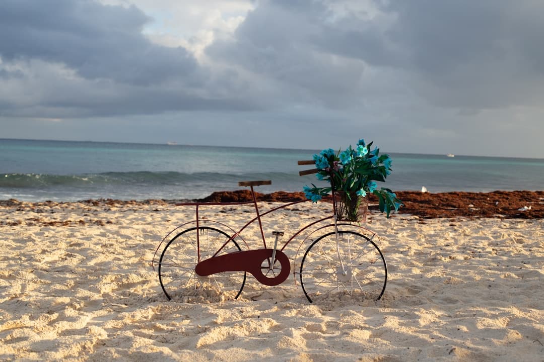 Playa del Carmen